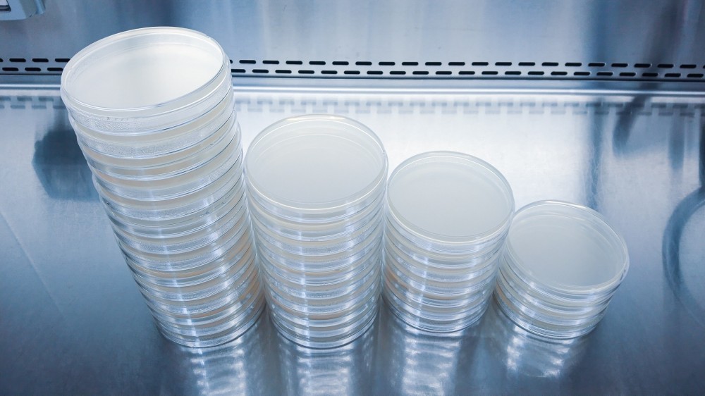 Petri Dishes
