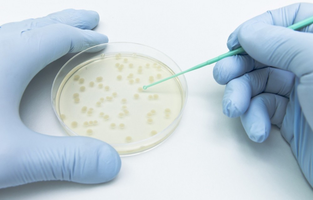 Inoculating Loops